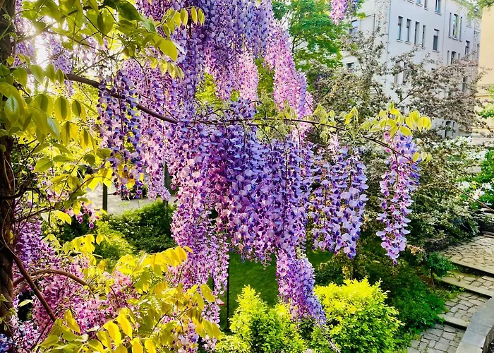 Illuminati Lejlighed *